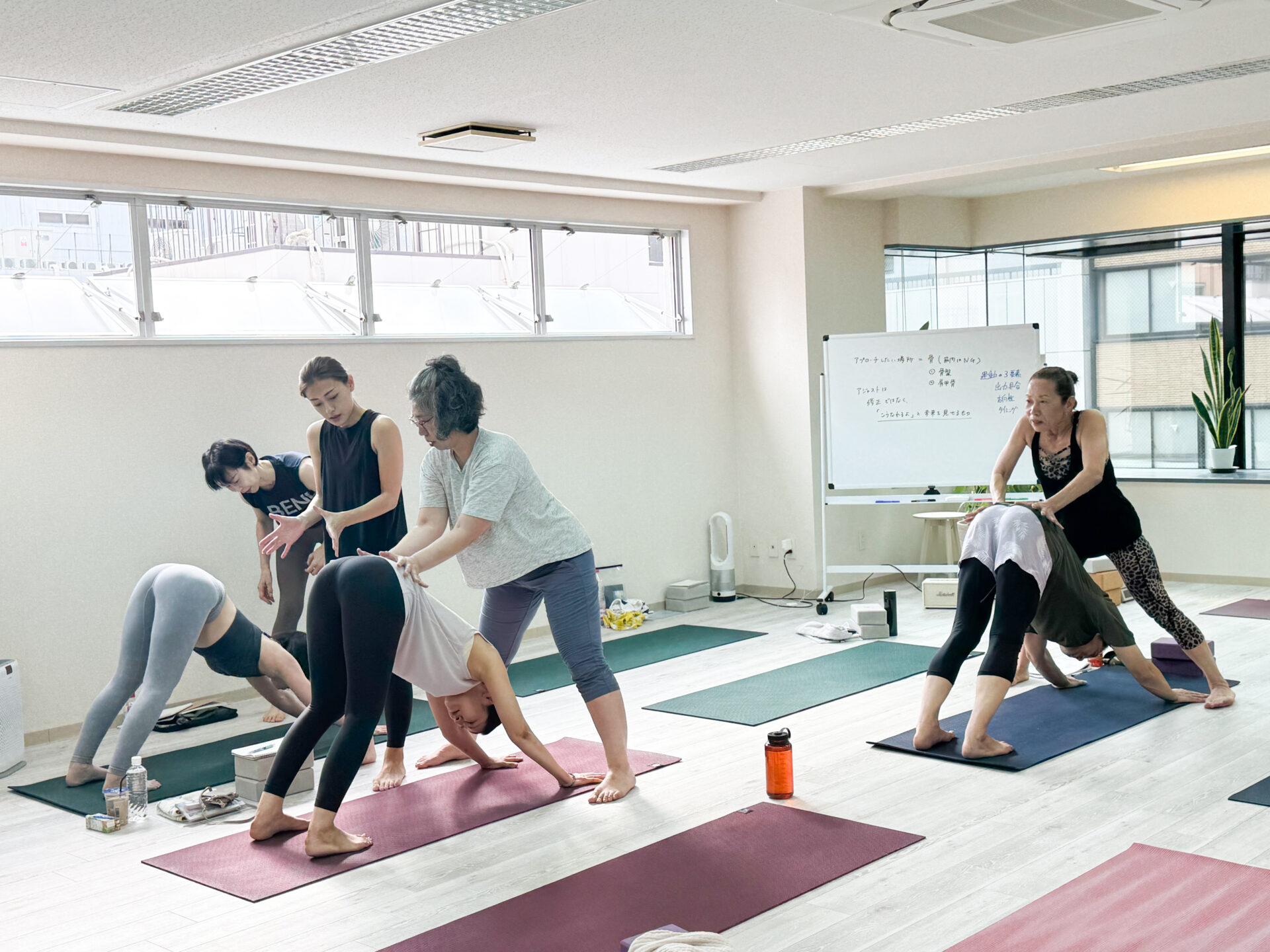 身体の仕組みを実践で学ぶRYT200